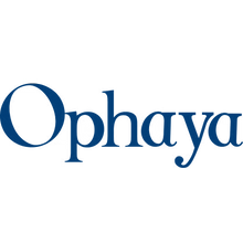 Ophaya Stylo numérique 2 en 1 pour homme et femme - Comprend un stylo  intelligent, un bloc-notes, une utilisation avec l'application Ophaya pour  la